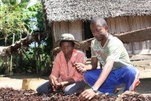 producteur de vanille de Madagascar, Comptoir de Toamasina