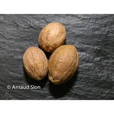 noix de muscade du Brésil, achat et vente de noix de Muscade
