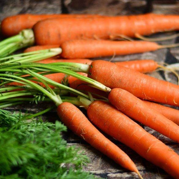 Recette de Verrines de carottes acidulées au poivre Timut