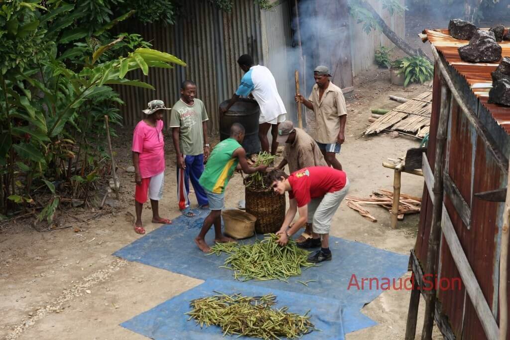 Actualité de la vanille de Madagascar Par Arnaud Sion expert en vanille