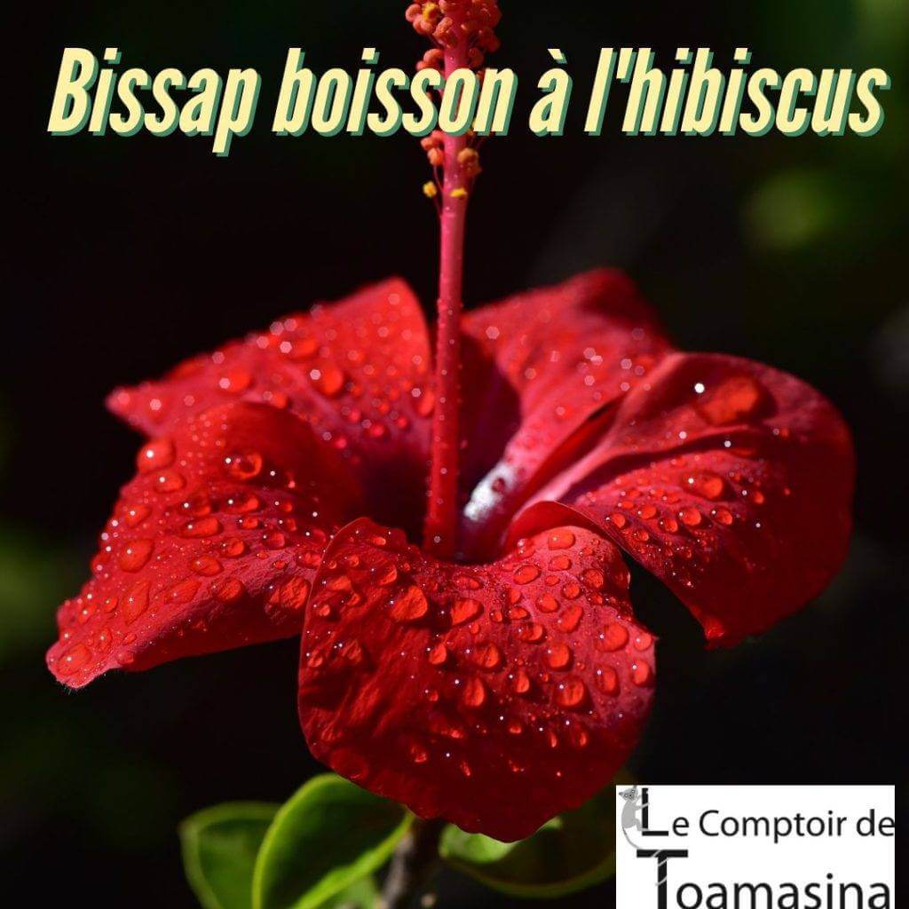 Bissap boisson à hibiscus rouge glacée