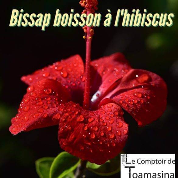 Recette du Bissap boisson à l'hibiscus