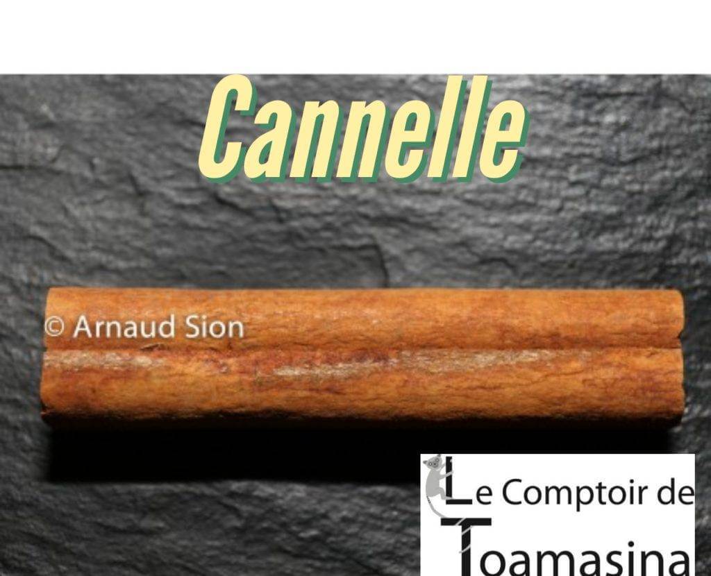 Batons de cannelle de Ceylan selectionnes par Le Comptoir de Toamasina