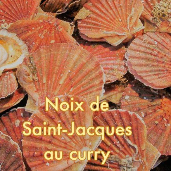 Noix de saint- jacques au curry doux