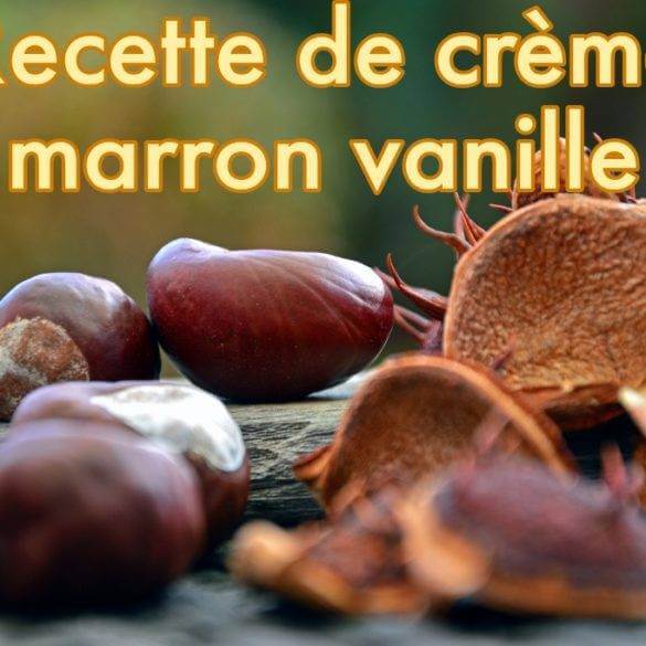 Crème de marrons vanille
