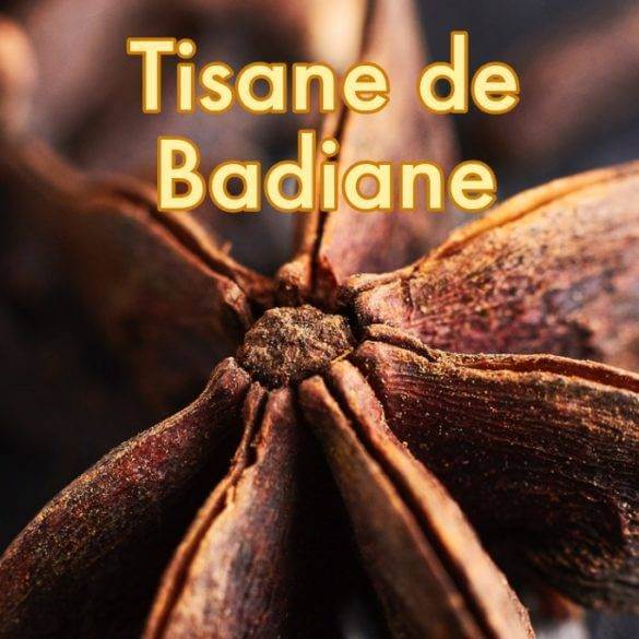 Recette de Tisane de Badiane