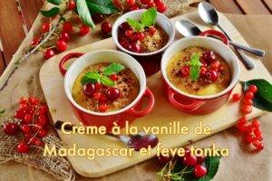 Crème à la vanille de Madagascar et Fève Tonka