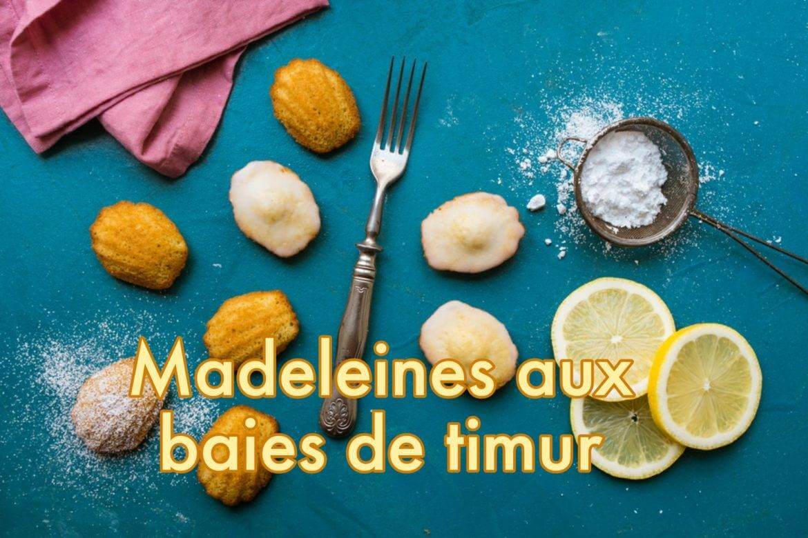 Madeleines aux baies de Timur Blog du Comptoir de Toamasina