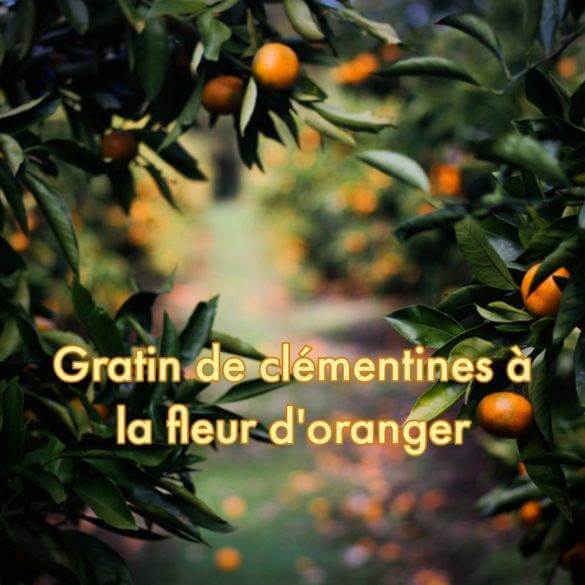 recette de Gratin de clémentines à la fleur d'oranger