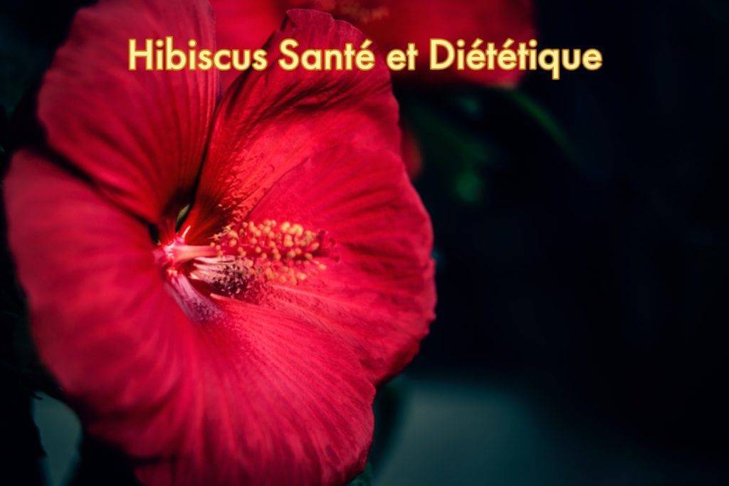 Calices hibiscus seches pour bissap