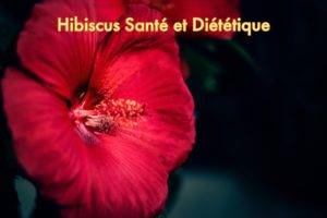 Hibiscus santé et diététique