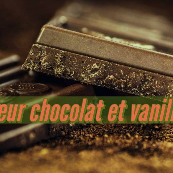 Recette de pâtisserie de Cœur chocolat vanille