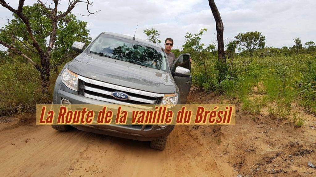 Vanille du Brésil, la route de la vanille du Cerrado