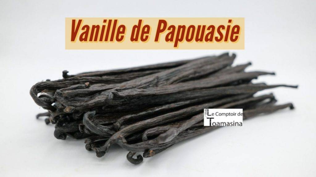 Gousse de vanille de Nouvelle Guinée, Papouasie 