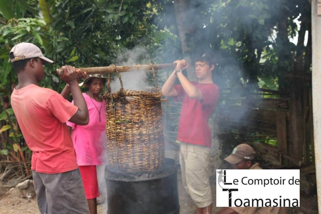 Comprar fava de baunilha bourbon de Madagascar no Brasil