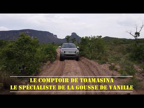 Gousses de vanille Bourbon de Madagascar