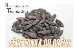 Fève Tonka - Achat, recettes et propriétés bienfaits - MesÉpices.com