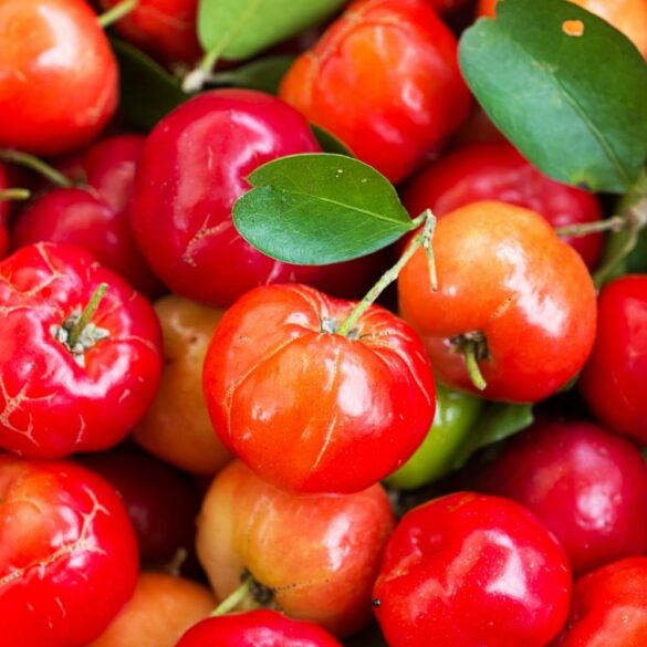 Pourquoi prendre des compléments alimentaires naturels