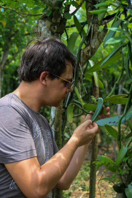 arnaud Vanille dans la plantation de David Almeira à Bahia