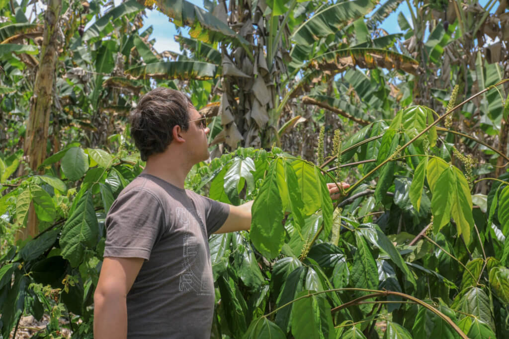 Arnaud Sion founder of Le Comptoir de Toamasina in a Guarana plantation