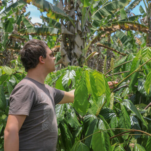 Arnaud Sion créateur du Comptoir de Toamasina dans une plantation de Guarana