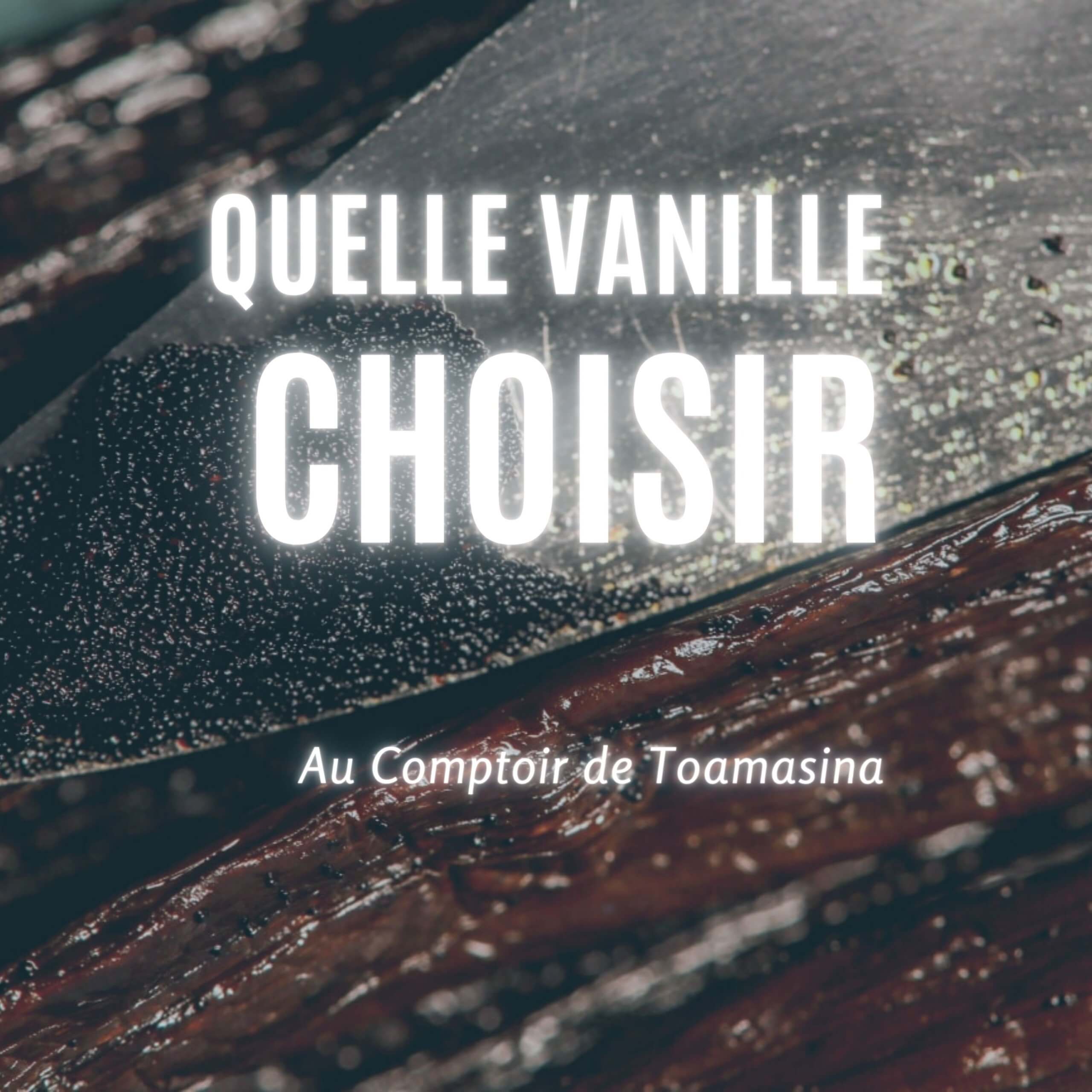 Quelle origine de vanille choisir - Arnaud Vanille