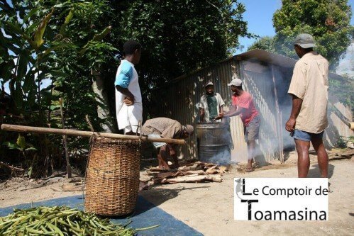 Producteur de vanille à Madagascar