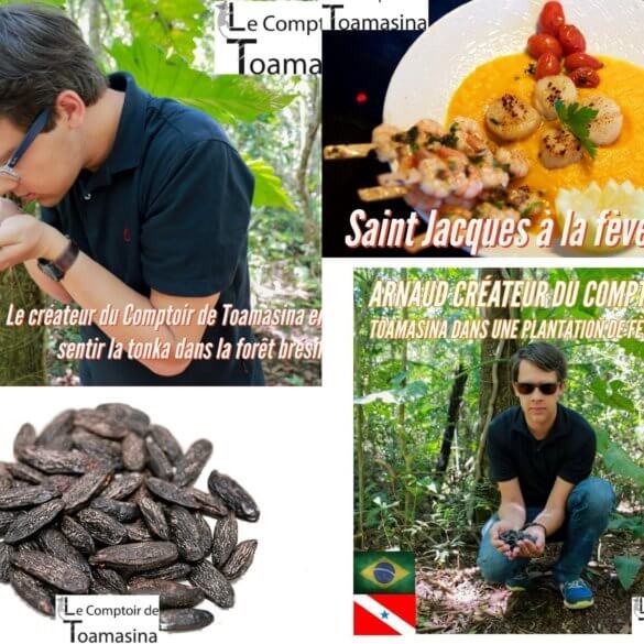 Fève tonka dans la cuisine