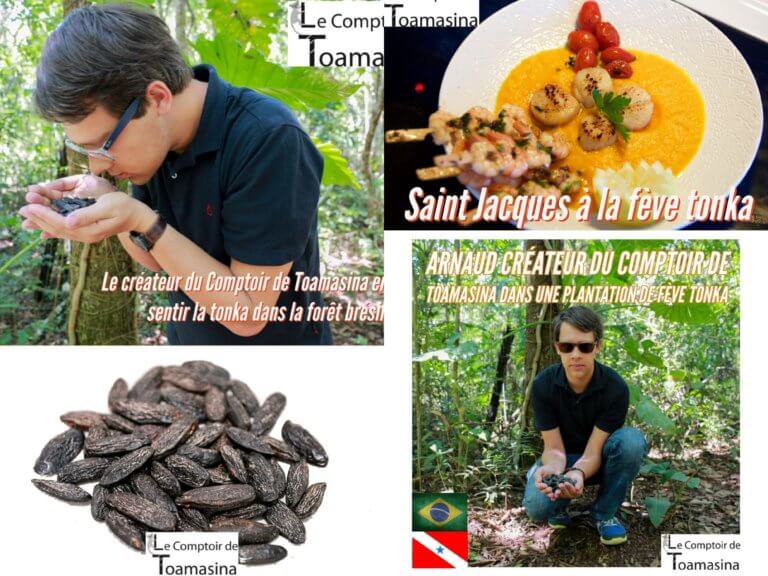 Cuisiner