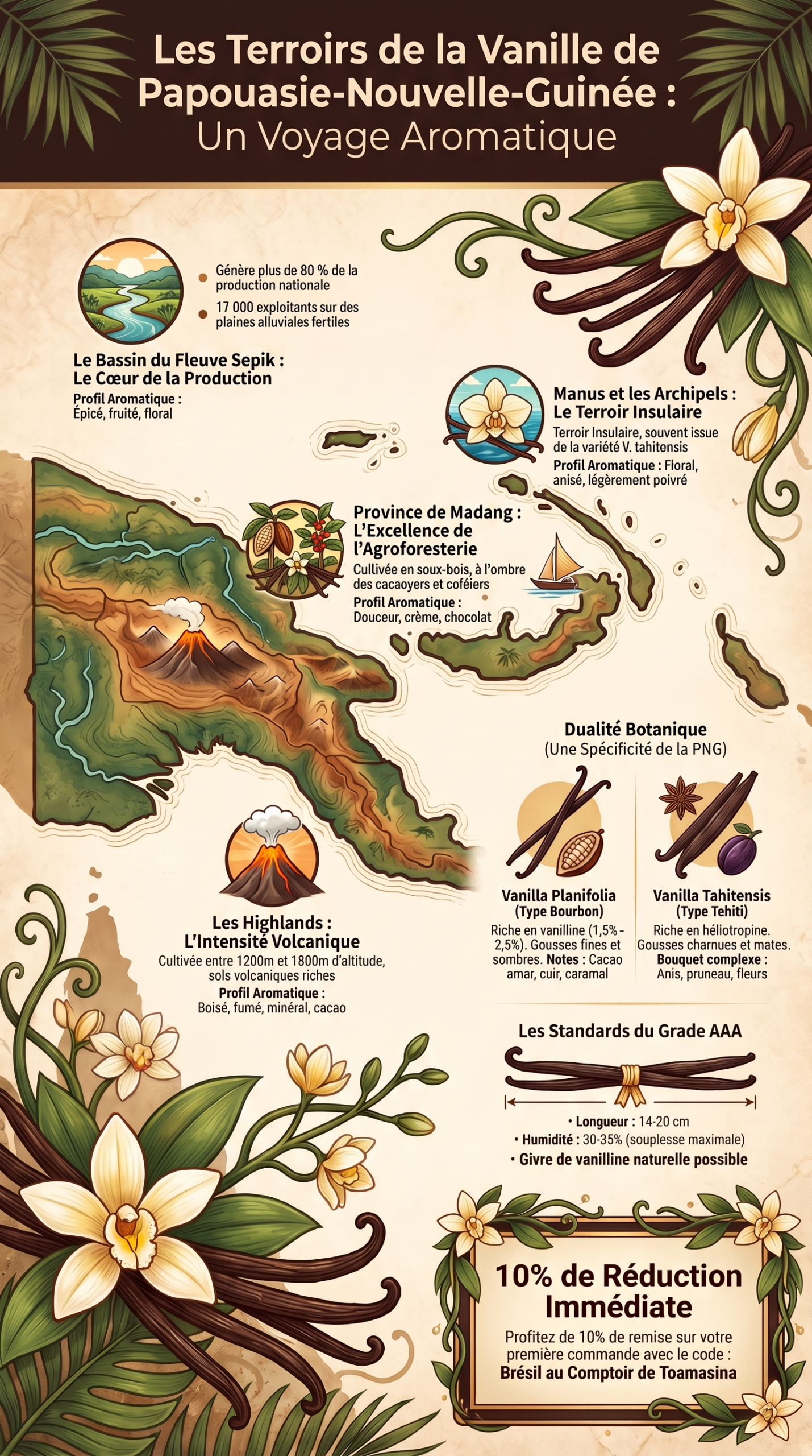 La vanille de Papouasie en infographie