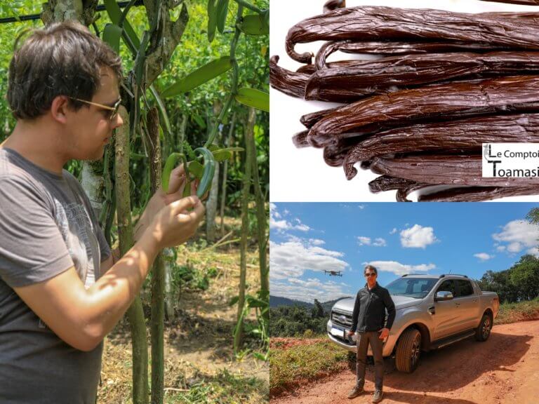 Choisir sa vanille