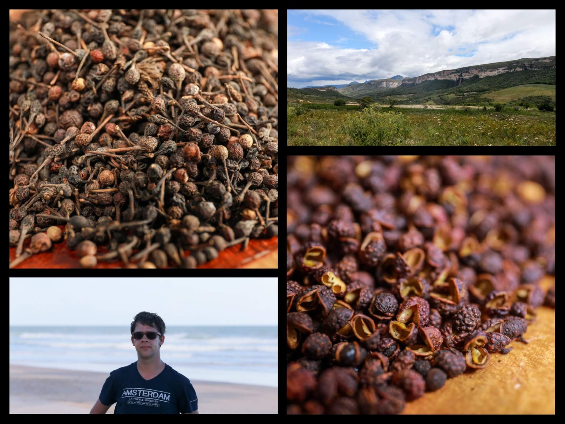 Comment choisir un bon poivre Blog du Comptoir de Toamasina Comment choisir un bon poivre Blog du Comptoir de Toamasina