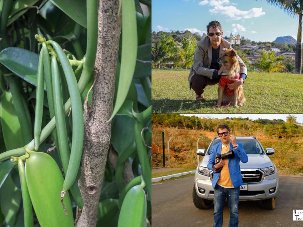 Bonne année 2021 - Le Comptoir de Toamasina chercheur d'épices d'excellence de vanilles, poivres, thés et super aliments de plantations de grande qualité-min