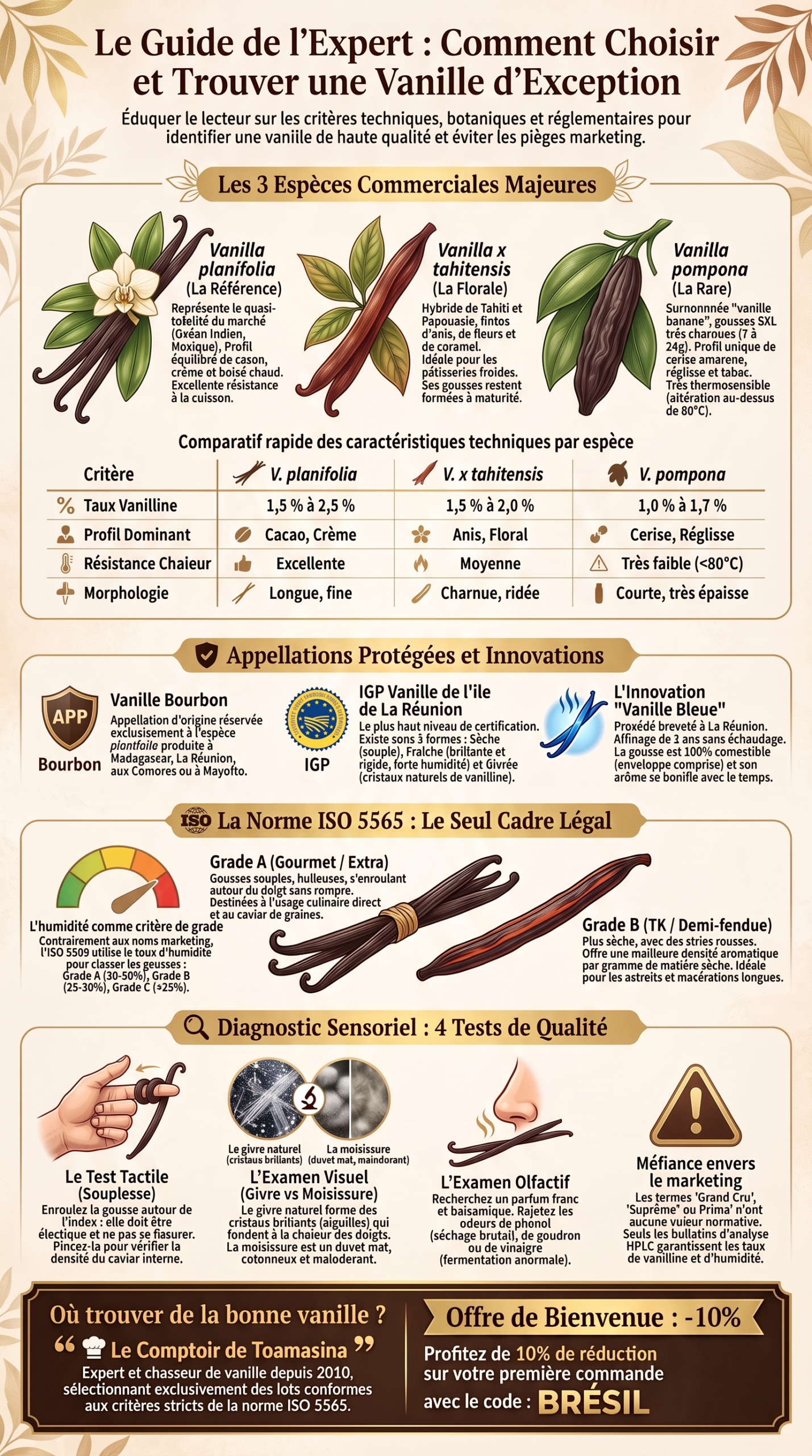 Guide pour choisir la vanille