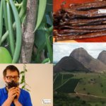 La vanille face au climat : mon évaluation