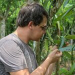 Que retenir pour acheter, utiliser et conserver la vanille ?