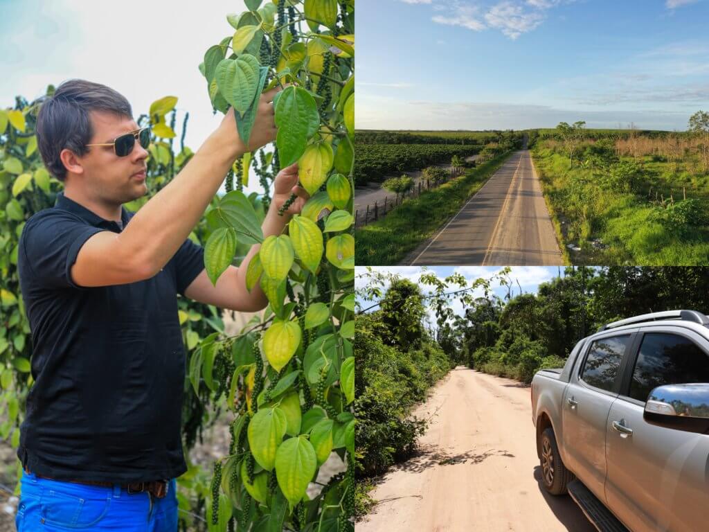 Arnaud chercheur de poivre au Brésil