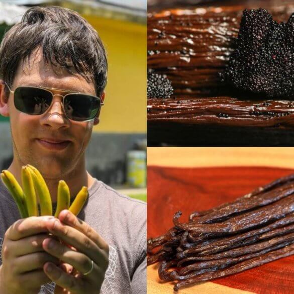 Mais pourquoi mettre de la vanille dans du chocolat - Arnaud spécialiste de la gousse de vanille