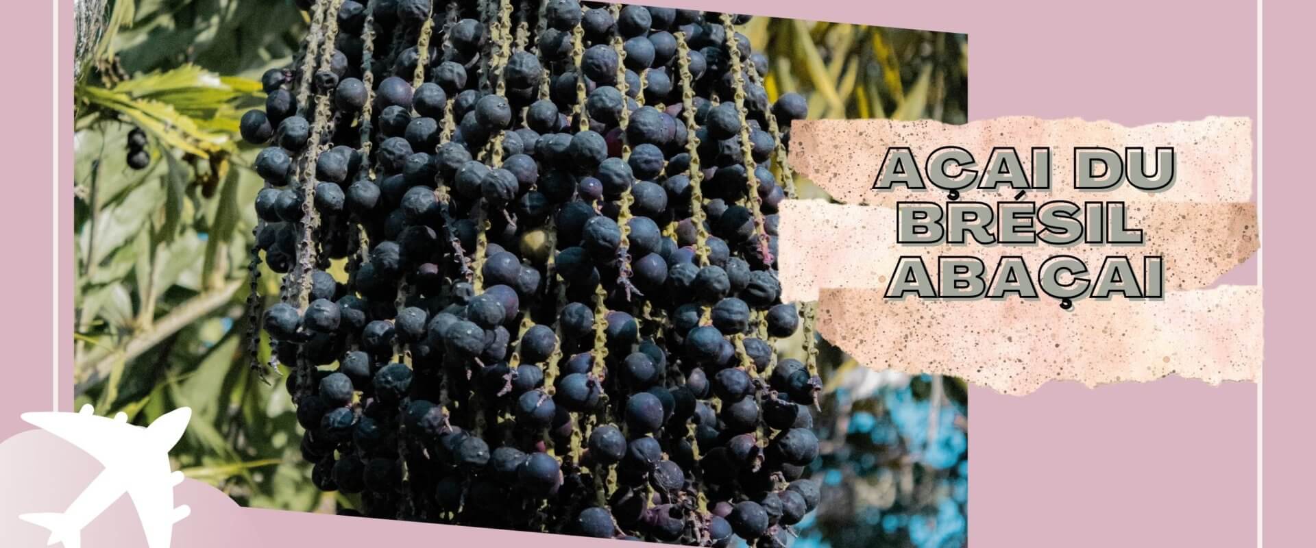 Açai directement du producteur