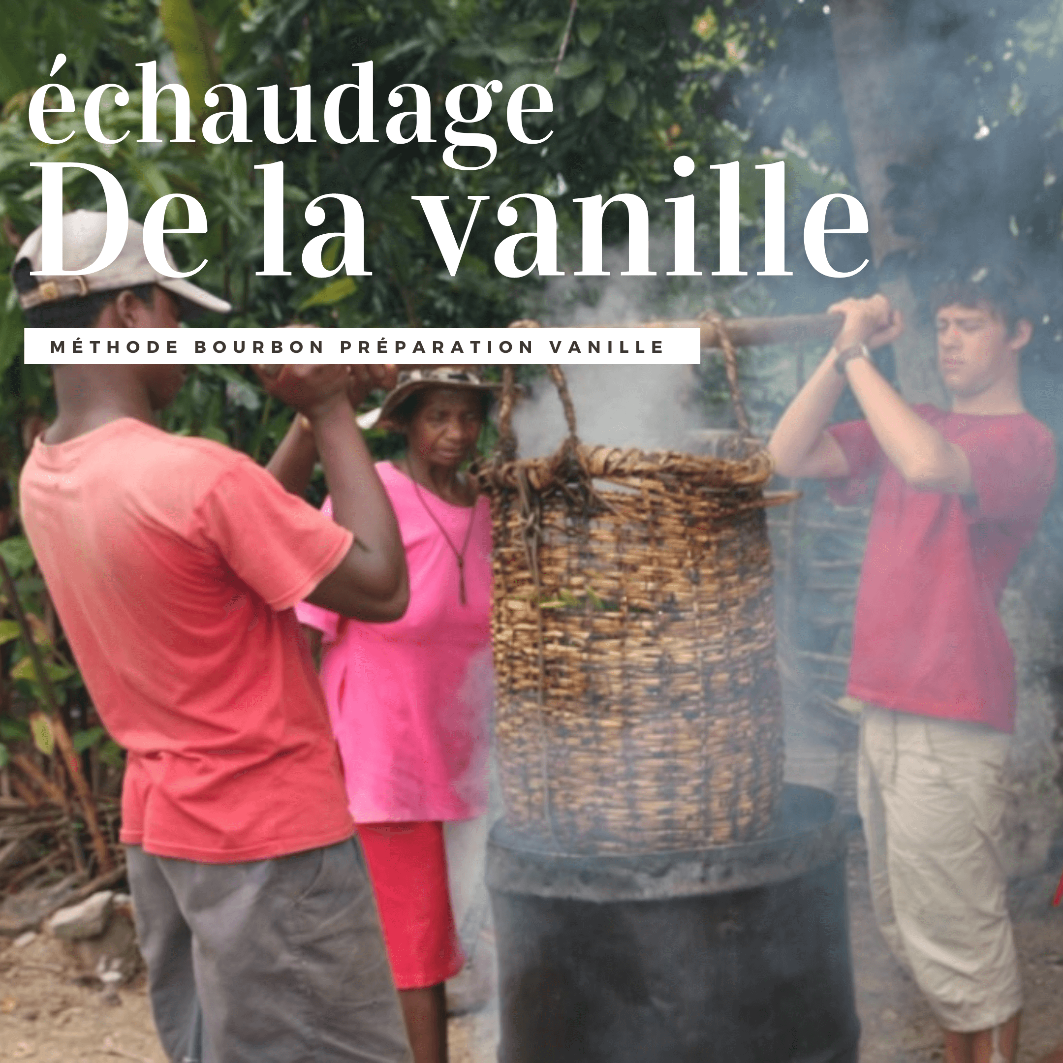 Le choc thermique accélère le processus de préparation de la vanille