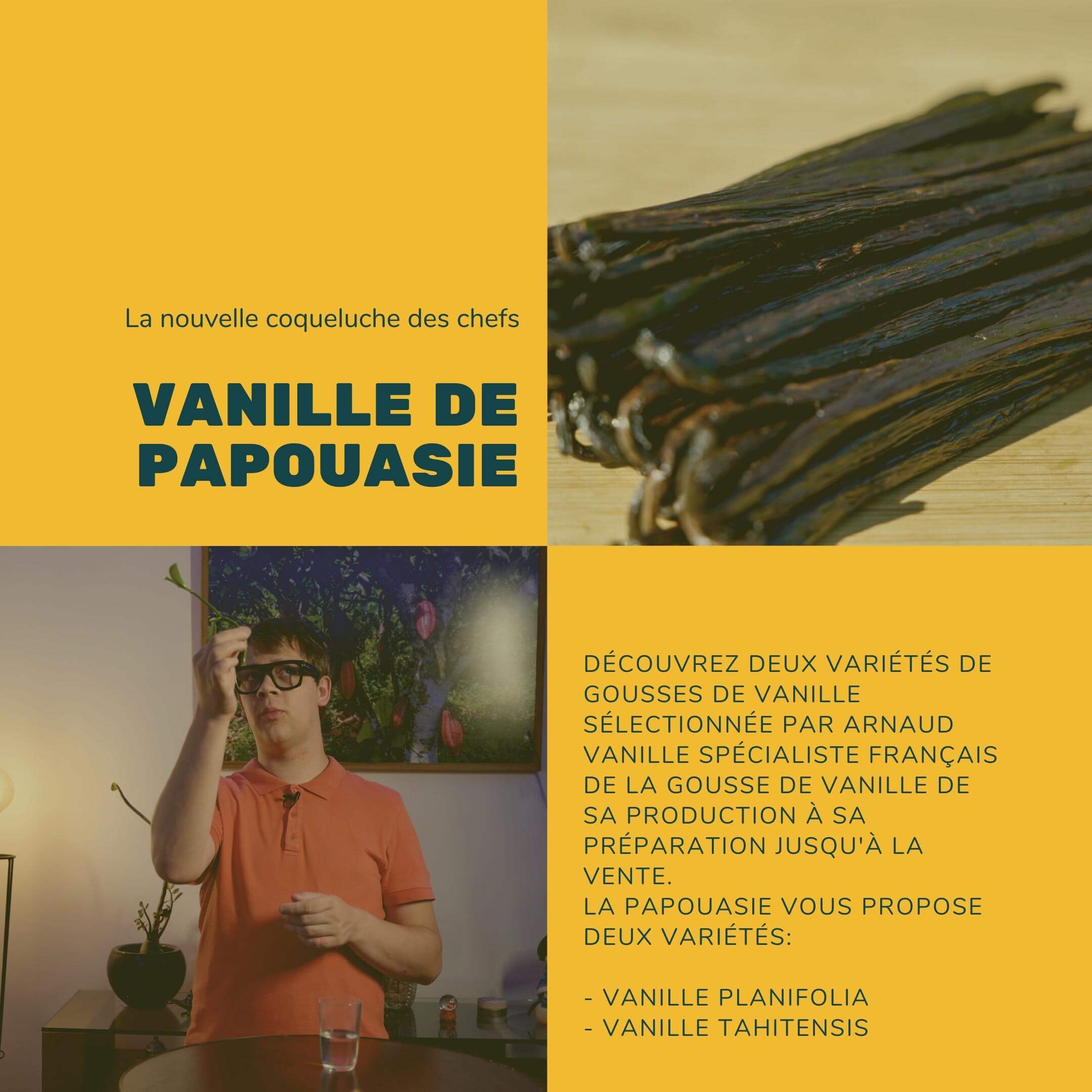Vanille de Papouasie Tahitensis et planifolia