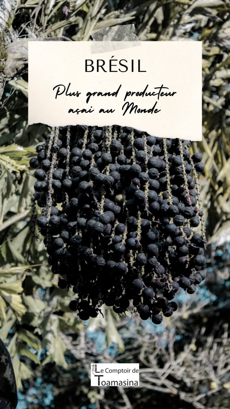 L’açaí