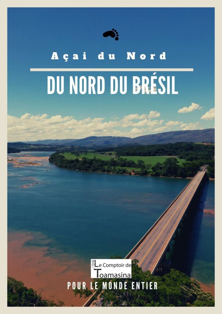 l'Açaí du nord du Brésil au monde entier !