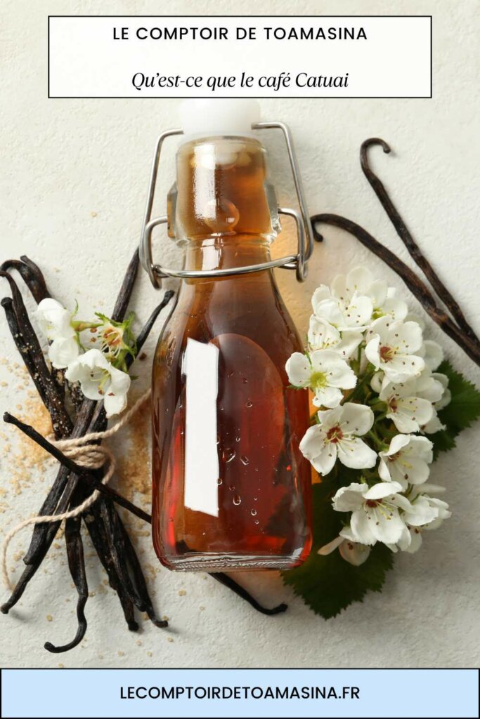 Extrait de vanille maison en bouteille avec des gousses