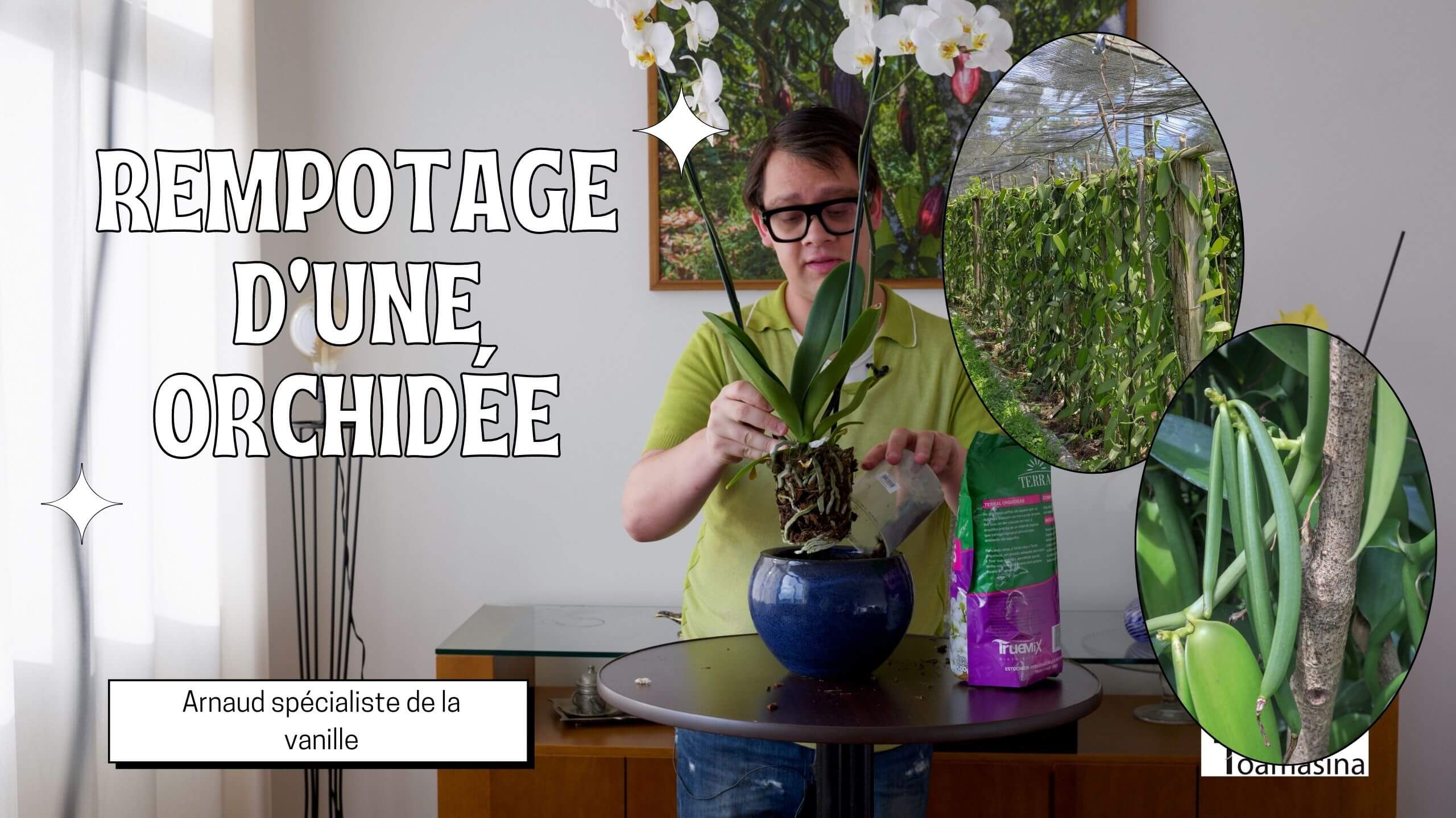 Comment rempoter une orchidée La meilleure vidéo avec des astuces simples