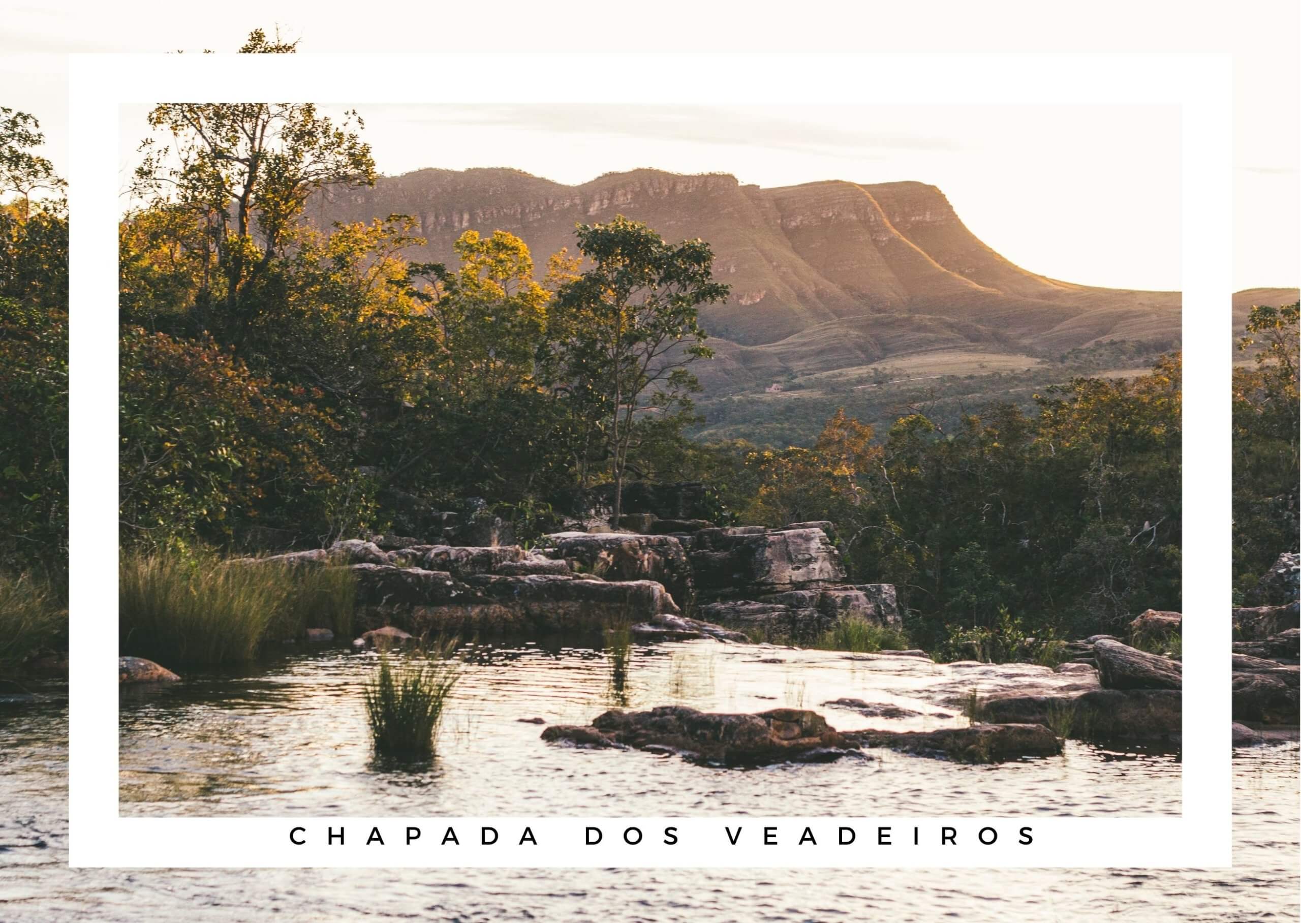 La vanille du Cerrado est considérée comme le joyau de la Chapada dos Veadeiros