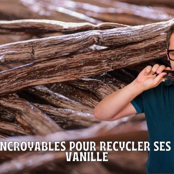 4 astuces incroyables pour recycler ses gousses de vanille