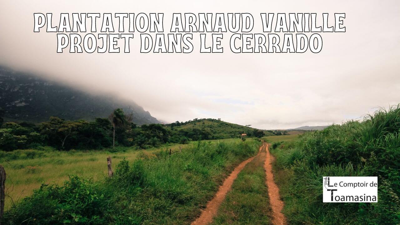 Projet de plantation de vanille dans le Cerrado dans le Minas Gerais Brésil