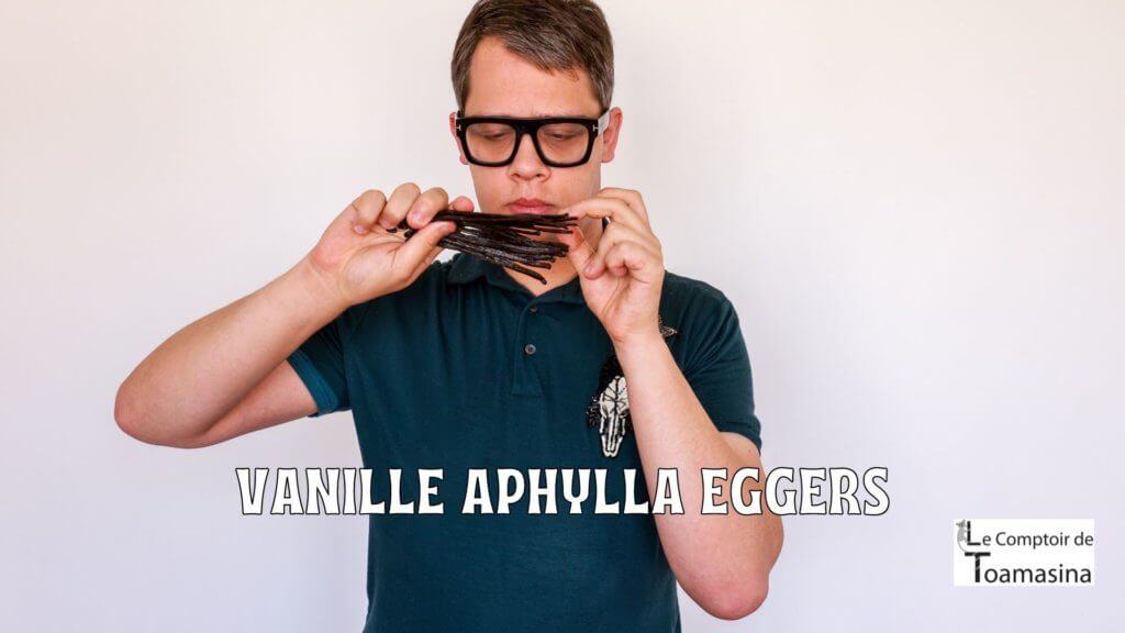 Vanille aphylla Eggers