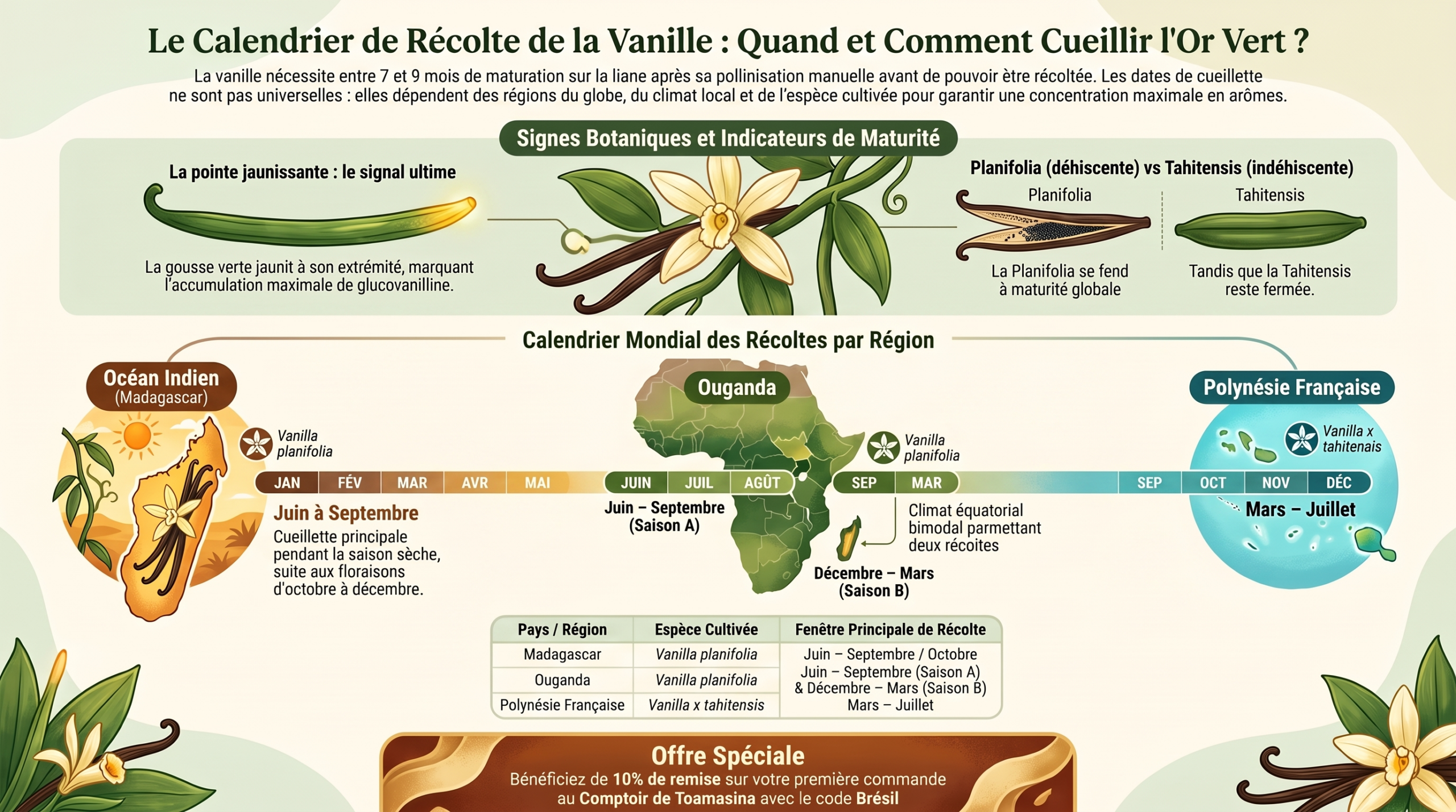 Calendrier de récolte de la vanille par origine